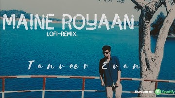 Maine Royaan | Lofi~Remix| Tanveer Evan.