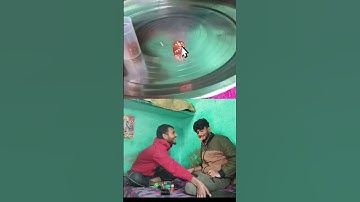 Roll The dice 🎲🎲 #shorts #games #challenge