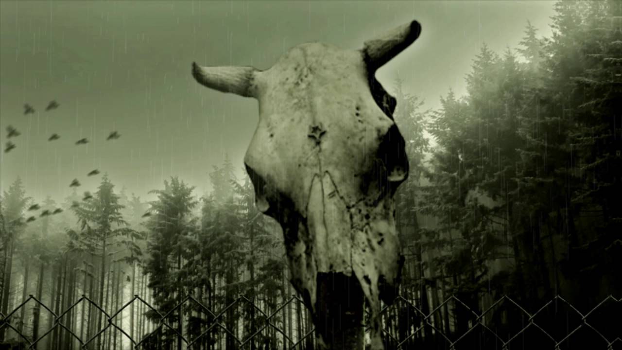 Ver "Imitation of Life" by CYDIA no YouTube Ver "Imitation of Life" by CYDIA no YouTube