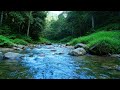 Total Peace – Beautiful Enchanted Water River Sound in Tropical Stream – Relax Body