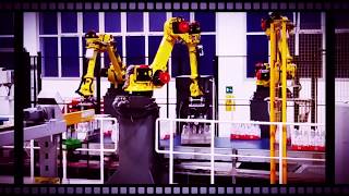 Krel Srl. Modifica Ingresso Pallettizzatore.