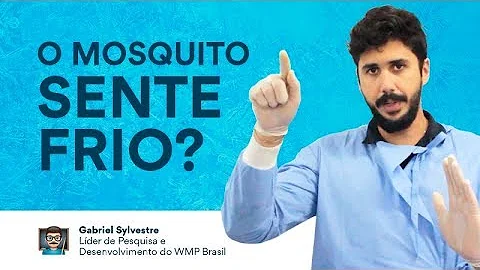 Onde os mosquitos se escondem?