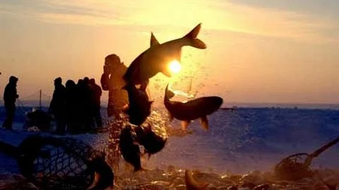 Winter fishing in Chagan Lake