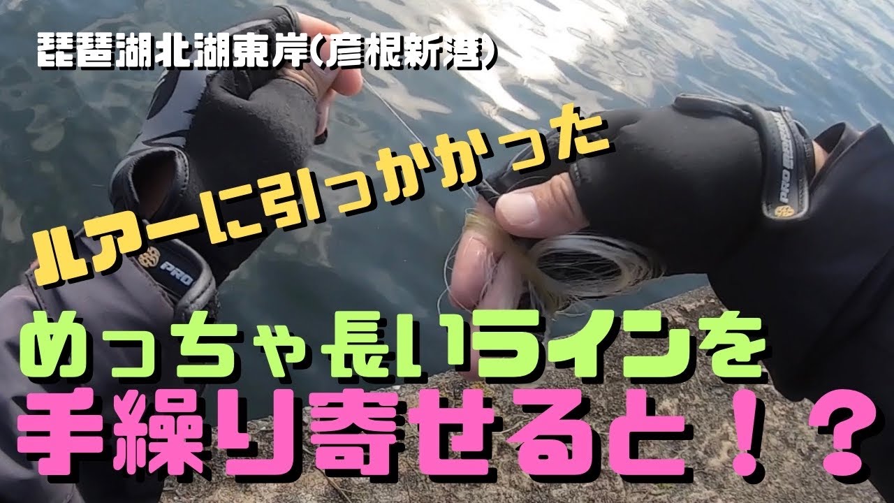 【琵琶湖バス釣り】前回のリベンジ釣行！カバースキャットでデカバスを狙っているとまさかの釣果が！？
