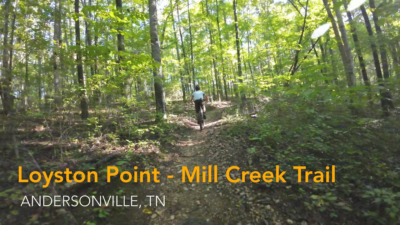 Mountain Biking Loyston Point - Mill Creek Trail