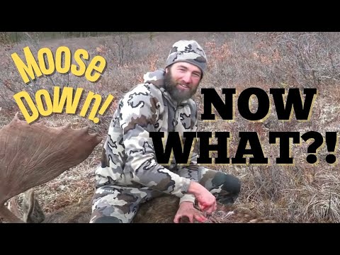 Video: How To Butcher A Moose