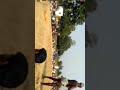 Dangal kusti partiyogata dharmagatpur ghazipur(3)