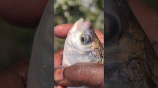 His Destiny Was Rewritten In A Single Splash