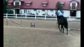 Kaja 20090505 (2)