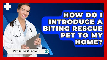 How Do I Introduce A Biting Rescue Pet To My Home? - PetGuide360.com