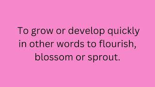 #burgeon #englishvocabulary