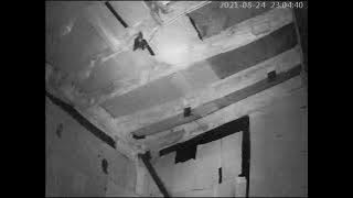 INAP LIUR 77 REVISI (Andi Sufar) video real walet nempel kayak perangko