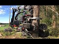 Top World Trees Machine Heavy Equipment Forwarder Wood Cutting Excavators in Work