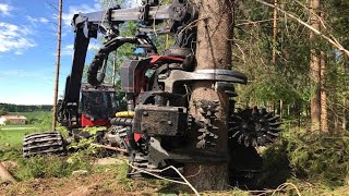 Top World Trees Machine Heavy Equipment Forwarder Wood Cutting Excavators in Work