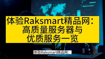 体验Raksmart精品网：高质量服务器与优质服务一览