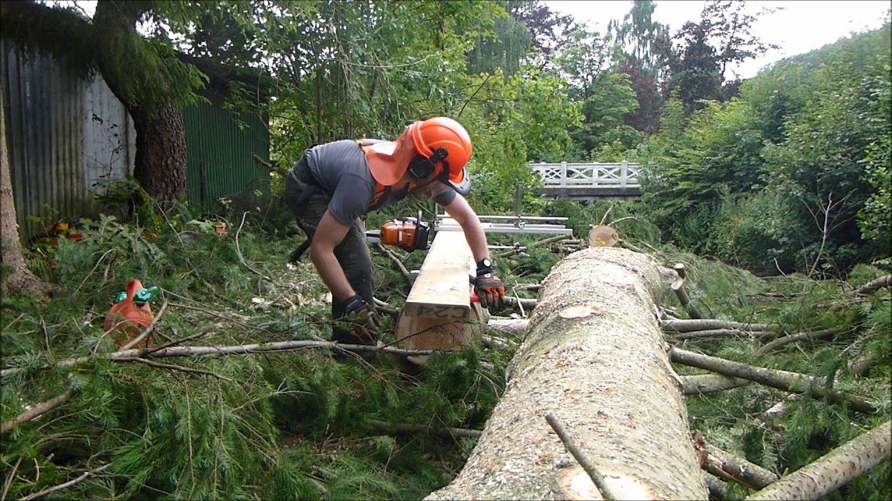 (2/2)Felling a big tree, and cutting it into boards - YouTube