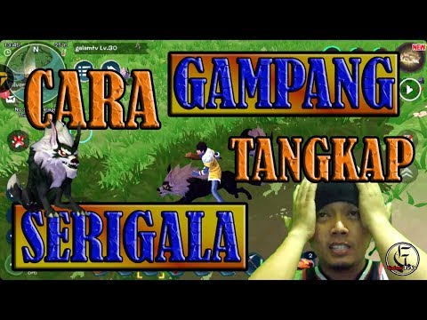 Video: Cara Menggambar Serigala Secara Berperingkat