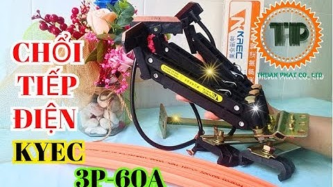 Chổi tiếp điện cầu trục 3P-60A, choi tiep dien cau truc 3P-60A