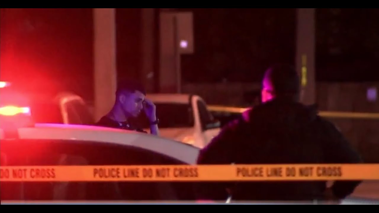 americateve | Violenta pelea en Hialeah termina con un joven muerto a puñaladas y una persona tras las rejas