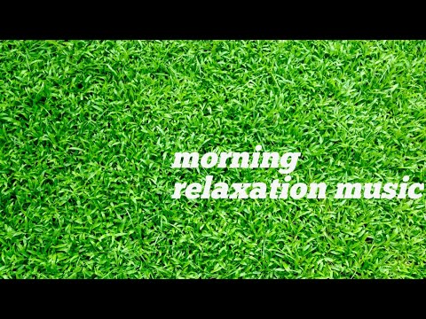 Morning Relaxation Music Beautiful Biano Music 