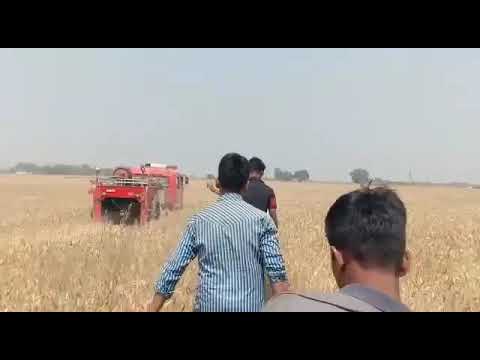 Gehu ke khet me lagi aag           