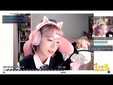 윙가르디움 레비오우사