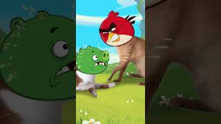 MESS HIM UP 🗣️ #angrybirds