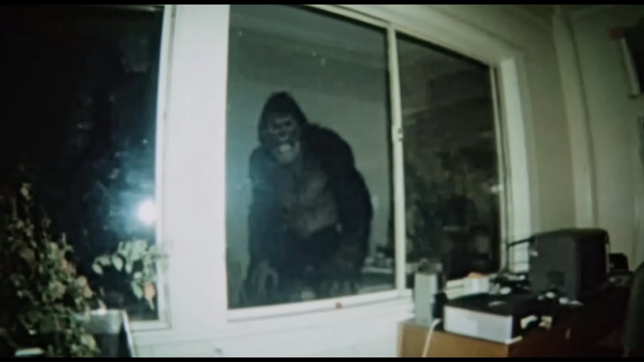 New BIGFOOT Footage!! This is AMAZING Evidence Caught On Camera SHOWING Real Proof!!