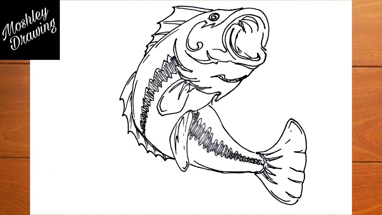 How to Draw a Largemouth Bass Fish 