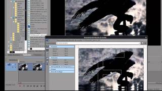 Invertir Imagenes Sony Vegas Pro 9 Burlar El Copyright