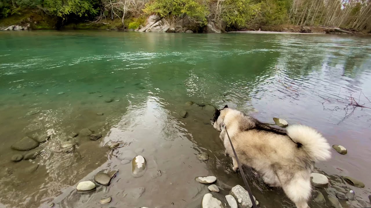 Elwha River Hikes for All Skill Levels – An Access Point to the Olympic Discovery Trail