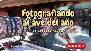 Fotografiando al ave del año || Fotografía de fauna salvaje Ep. 13