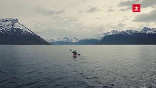 Безмятежность. А Какой Цвет Вашей Истории?