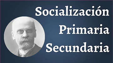 ¿Qué aprendemos en la socialización secundaria?