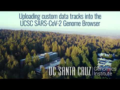 2B - Uploading custom data tracks into the UCSC SARS-CoV-2 Genome Browser