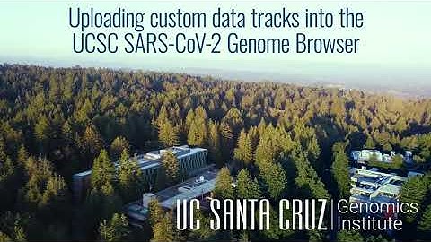 2B - Uploading custom data tracks into the UCSC SARS-CoV-2 Genome Browser
