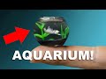 The worlds smallest aquarium