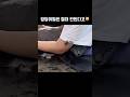 엉덩이 털🍑밀자마자 용수철처럼 튀어오르는데...난이도가 제일 높은 엉덩이😂#shorts #shortsvideo #funnycats #catlife #cutecat