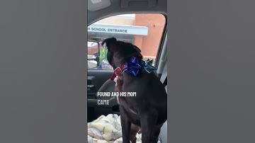 He reunited with his dog after being lost for over 2 weeks ❤️