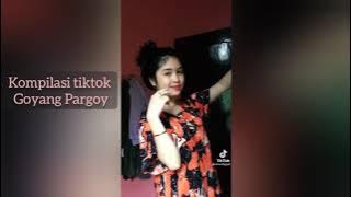 KOMPILASI GOYANG PARGOY VIRAL TIKTOK