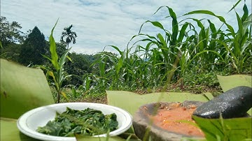 sayur daun ubi rebus dicocol sambel terasi