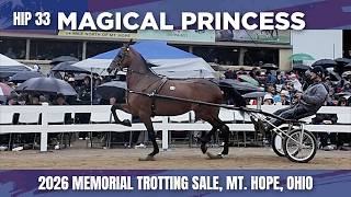 Hip 33 Magical Princess, 2023 Mare | Sold at the 2026 Memorial Trotting Sale