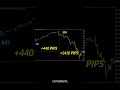 Neo Trend Hunter Review, NEW FOREX INDICATOR by Karl Dittmann #mt4indicator #forexsignals #forex