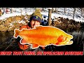 Winter Trout Fishing the Appalachian Mountains