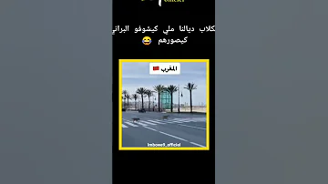 اغرب من الخيال المغرب 