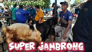 SUPER JAMBRONG‼️PASAR KEPANJEN MALANG HARI INI