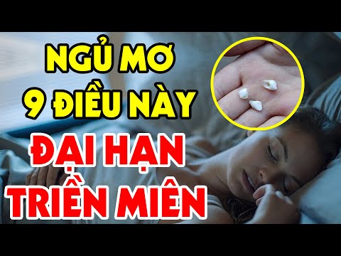Nếu NGỦ MƠ Thấy 9 Điềm Báo Này, Gia Chủ Sắp Gặp ĐẠI HẠN TRIỀN MIÊN, Tiền Bạc Đội Nón Ra Đi