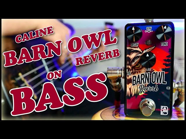 Caline G008 Barn Owl Reverb (Bass demo) - YouTube