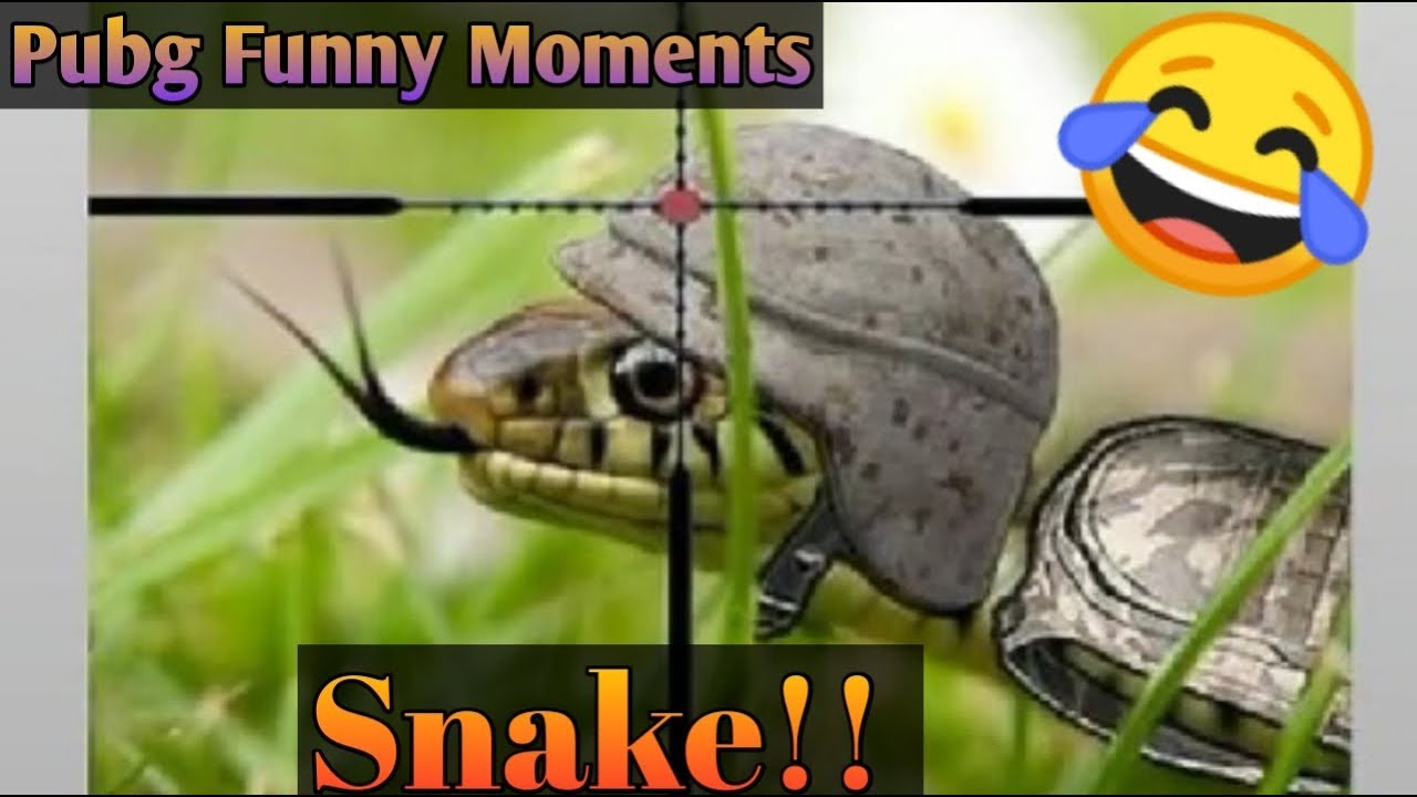 Pubg Funny moments | Epic & WTF Moments | fail, pubg snake and ...