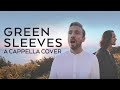 Miniature de la vidéo de la chanson Greensleeves